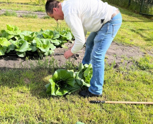 moestuin-5