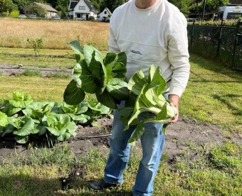moestuin-6